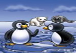 Click the picture for Penguin Swim info